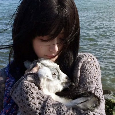 警犬嬷嬷历险记